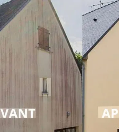 Intervention — entretien et nettoyage de l'habitat